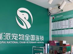 -瑞派宠物医院·CT影像中心·猫友好医院(奥城店)