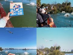 -昆明冠生园·蛋糕·面包(南强街店)