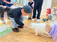 -COLOR PETS 撸猫馆·购猫·猫咖(长风大悦城店)