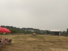 -秀丽东方