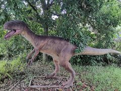 -自贡恐龙博物馆