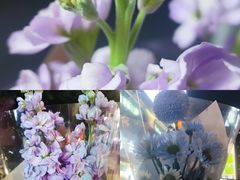 -循礼门鲜花花市(武汉循礼门店)