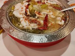 -姚姚酸菜鱼·金戈戈香港豉油鸡(喜荟城联名店)