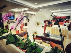 -天天渔港(杏林街店)