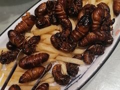 -海派美食·家宴海鲜青岛菜·石锅鲽鱼头(东方城店)