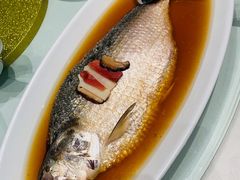 -蝶园·装修中(BFC外滩金融中心店)