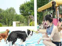 -爪吧宠物乐园 (温榆河示范区店)