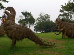 -松山湖梦幻百花洲