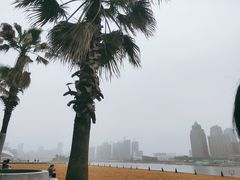 -金沙湖公园
