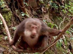 -西岭雪山大飞水景区