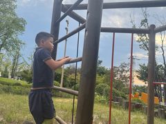 -铁山坪森林公园