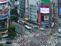 -涩谷全向十字路口