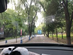 -枫花园汽车电影院(朝阳公园店)