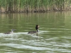 -野鸭湖国家湿地公园