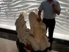 -青岛贝壳博物馆