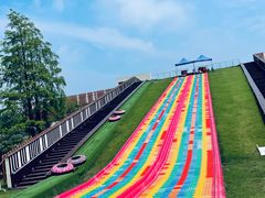 -黄海国家森林公园