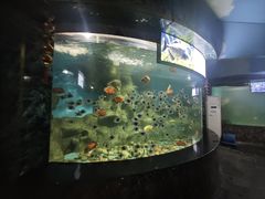 -大明湖海底世界