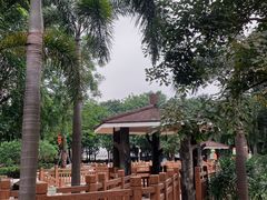 -荔湾区儿童公园