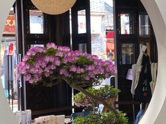 -我嘉书房(南翔名士居店)