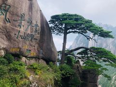 -黄山玉屏楼宾馆餐厅