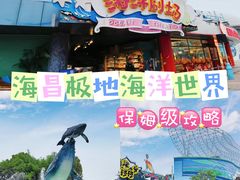 -海合安武汉极地海洋公园