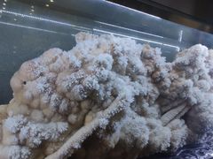 -湖南省地质博物馆