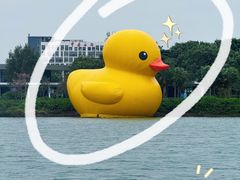-深圳人才公园