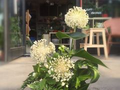 iphone_upload_pic-杭州街角花屋花店(闻堰店)