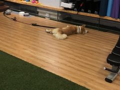 -YCHL Studios健身工作室(市二宫店)