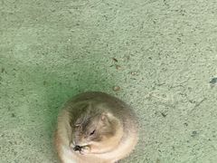 -杭州野生动物世界