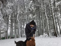 -石棉县孟获城
