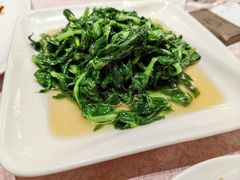 -新南华大酒店(长寿店)