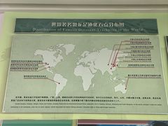 -延庆地质公园博物馆