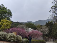 -北京西山国家森林公园