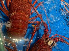 -徐记海鲜(曲江南湖店)