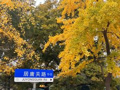 -北戴河东海水浴场