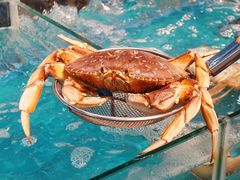 -渔人湾码头海鲜市场负二楼