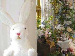 -知物癖(牛王庙店)