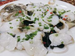 -金瑞轩大酒楼·顺德鱼生·粤菜海鲜(东江国际店)
