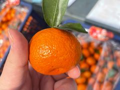 -东方鼎信农副产品交易中心