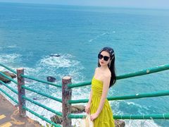 -广东惠东海龟国家级自然保护区