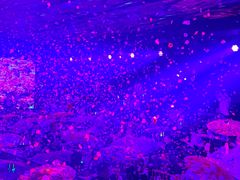 -M-MIX电音烤吧