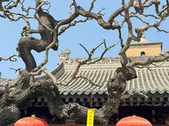 -大慈恩寺(大雁塔)