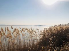 -天津东丽湖风景区