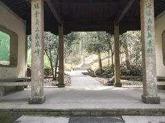 -西湖风景区十里琅珰-五云山