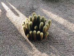 -马洛雷勒花园