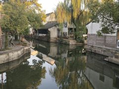 -鲁镇