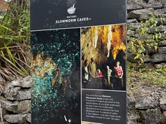 -怀托摩萤火虫洞