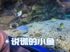 -太平洋海底世界