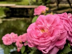 -三里河公园